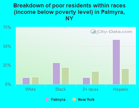 Breakdown of poor residents within races (income below poverty level) in Palmyra, NY