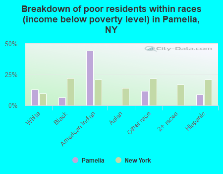 Breakdown of poor residents within races (income below poverty level) in Pamelia, NY