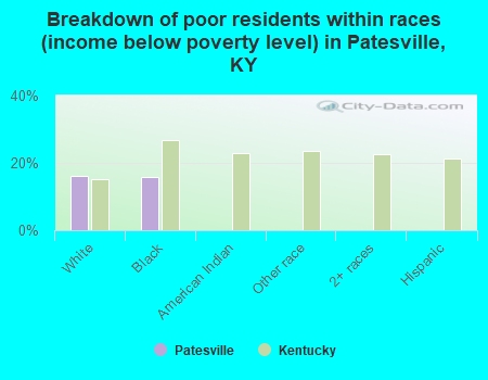 Breakdown of poor residents within races (income below poverty level) in Patesville, KY