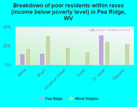 Breakdown of poor residents within races (income below poverty level) in Pea Ridge, WV