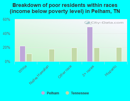 Breakdown of poor residents within races (income below poverty level) in Pelham, TN