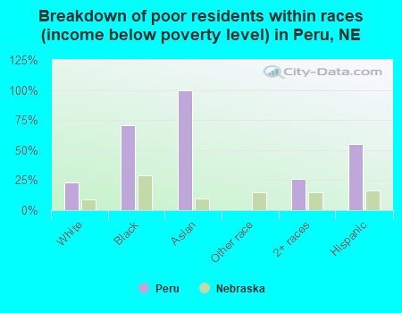 Breakdown of poor residents within races (income below poverty level) in Peru, NE