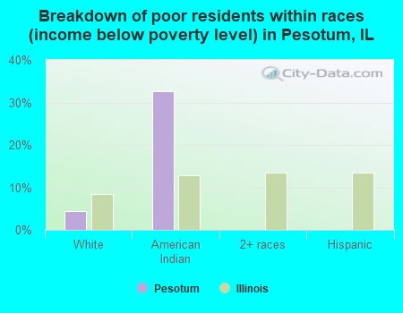 Breakdown of poor residents within races (income below poverty level) in Pesotum, IL