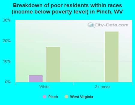 Breakdown of poor residents within races (income below poverty level) in Pinch, WV