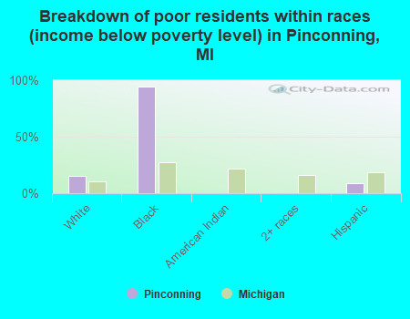 Breakdown of poor residents within races (income below poverty level) in Pinconning, MI