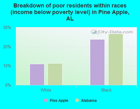 Breakdown of poor residents within races (income below poverty level) in Pine Apple, AL