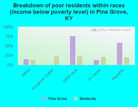 Breakdown of poor residents within races (income below poverty level) in Pine Grove, KY