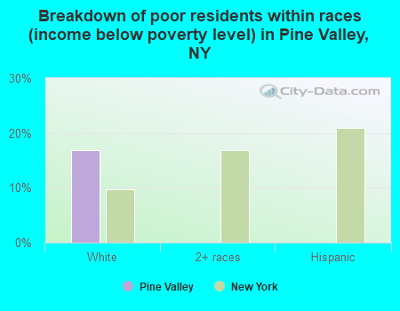 Breakdown of poor residents within races (income below poverty level) in Pine Valley, NY
