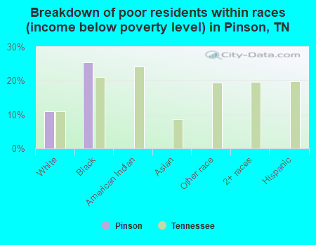 Breakdown of poor residents within races (income below poverty level) in Pinson, TN
