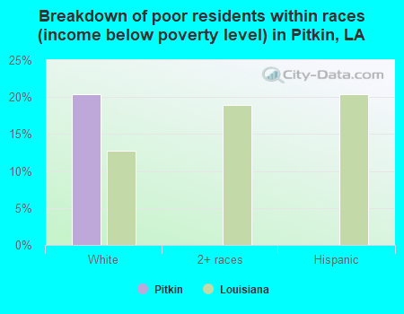 Breakdown of poor residents within races (income below poverty level) in Pitkin, LA