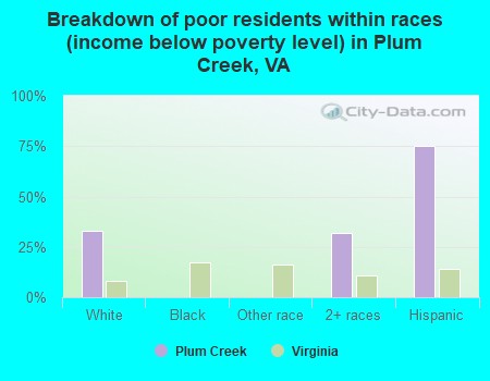 Breakdown of poor residents within races (income below poverty level) in Plum Creek, VA