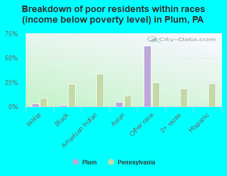 Breakdown of poor residents within races (income below poverty level) in Plum, PA