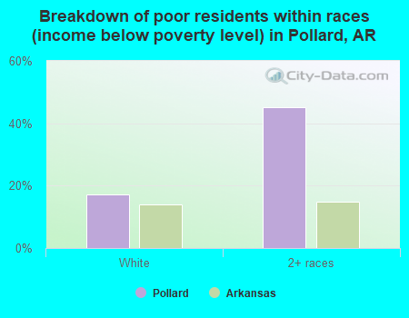 Breakdown of poor residents within races (income below poverty level) in Pollard, AR
