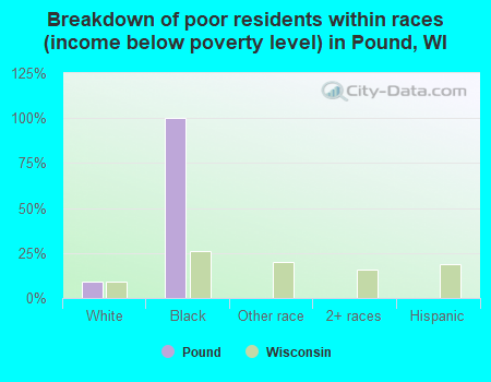 Breakdown of poor residents within races (income below poverty level) in Pound, WI