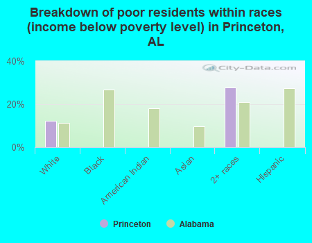 Breakdown of poor residents within races (income below poverty level) in Princeton, AL