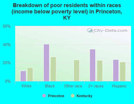 Breakdown of poor residents within races (income below poverty level) in Princeton, KY