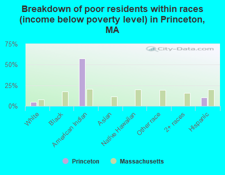 Breakdown of poor residents within races (income below poverty level) in Princeton, MA