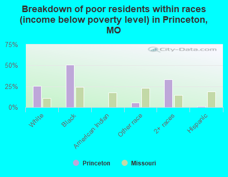 Breakdown of poor residents within races (income below poverty level) in Princeton, MO