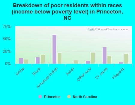 Breakdown of poor residents within races (income below poverty level) in Princeton, NC