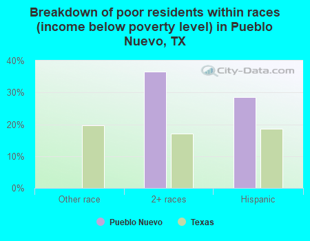 Breakdown of poor residents within races (income below poverty level) in Pueblo Nuevo, TX