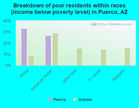 Breakdown of poor residents within races (income below poverty level) in Puerco, AZ