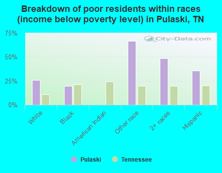 Breakdown of poor residents within races (income below poverty level) in Pulaski, TN