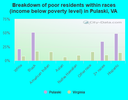 Breakdown of poor residents within races (income below poverty level) in Pulaski, VA