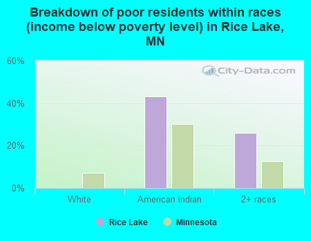 Breakdown of poor residents within races (income below poverty level) in Rice Lake, MN