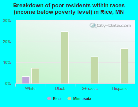 Breakdown of poor residents within races (income below poverty level) in Rice, MN