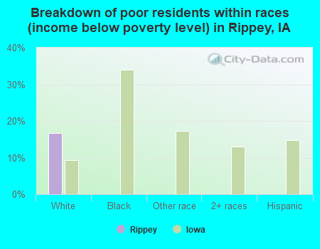 Breakdown of poor residents within races (income below poverty level) in Rippey, IA