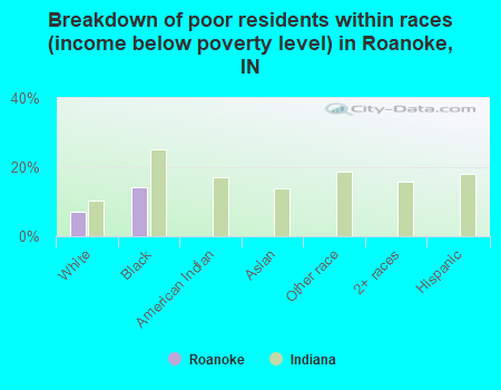 Breakdown of poor residents within races (income below poverty level) in Roanoke, IN