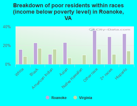 Breakdown of poor residents within races (income below poverty level) in Roanoke, VA