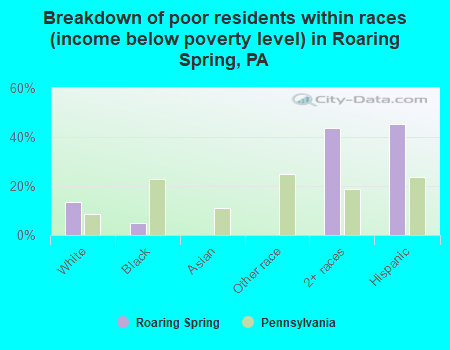 Breakdown of poor residents within races (income below poverty level) in Roaring Spring, PA