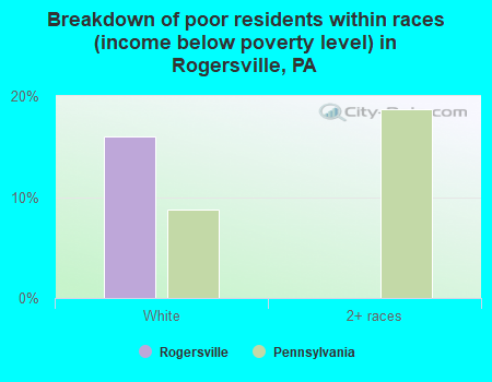 Breakdown of poor residents within races (income below poverty level) in Rogersville, PA