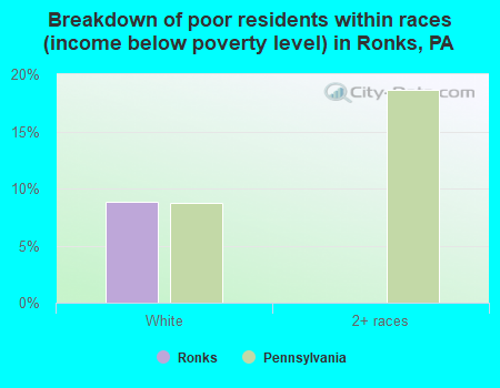 Breakdown of poor residents within races (income below poverty level) in Ronks, PA