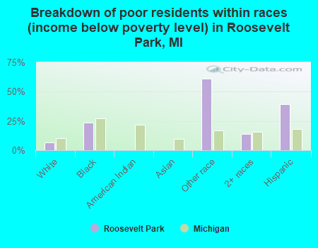 Breakdown of poor residents within races (income below poverty level) in Roosevelt Park, MI