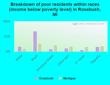 Breakdown of poor residents within races (income below poverty level) in Rosebush, MI