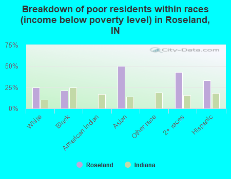 Breakdown of poor residents within races (income below poverty level) in Roseland, IN