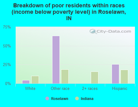 Breakdown of poor residents within races (income below poverty level) in Roselawn, IN