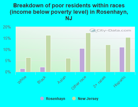 Breakdown of poor residents within races (income below poverty level) in Rosenhayn, NJ