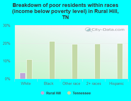 Breakdown of poor residents within races (income below poverty level) in Rural Hill, TN