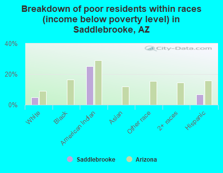 Breakdown of poor residents within races (income below poverty level) in Saddlebrooke, AZ