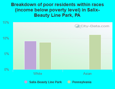 Breakdown of poor residents within races (income below poverty level) in Salix-Beauty Line Park, PA