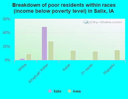 Breakdown of poor residents within races (income below poverty level) in Salix, IA