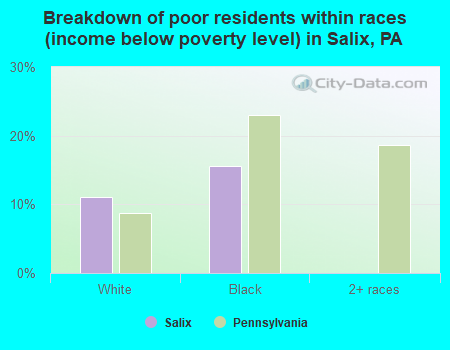 Breakdown of poor residents within races (income below poverty level) in Salix, PA