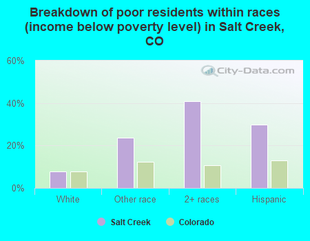 Breakdown of poor residents within races (income below poverty level) in Salt Creek, CO