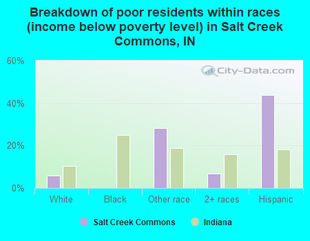 Breakdown of poor residents within races (income below poverty level) in Salt Creek Commons, IN