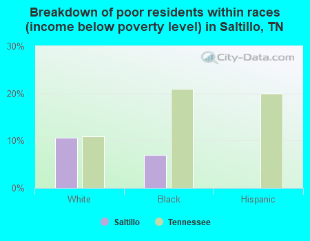 Breakdown of poor residents within races (income below poverty level) in Saltillo, TN