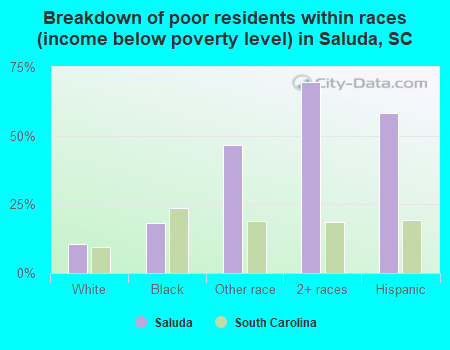 Breakdown of poor residents within races (income below poverty level) in Saluda, SC
