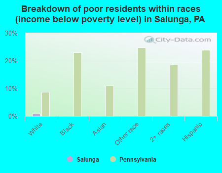 Breakdown of poor residents within races (income below poverty level) in Salunga, PA